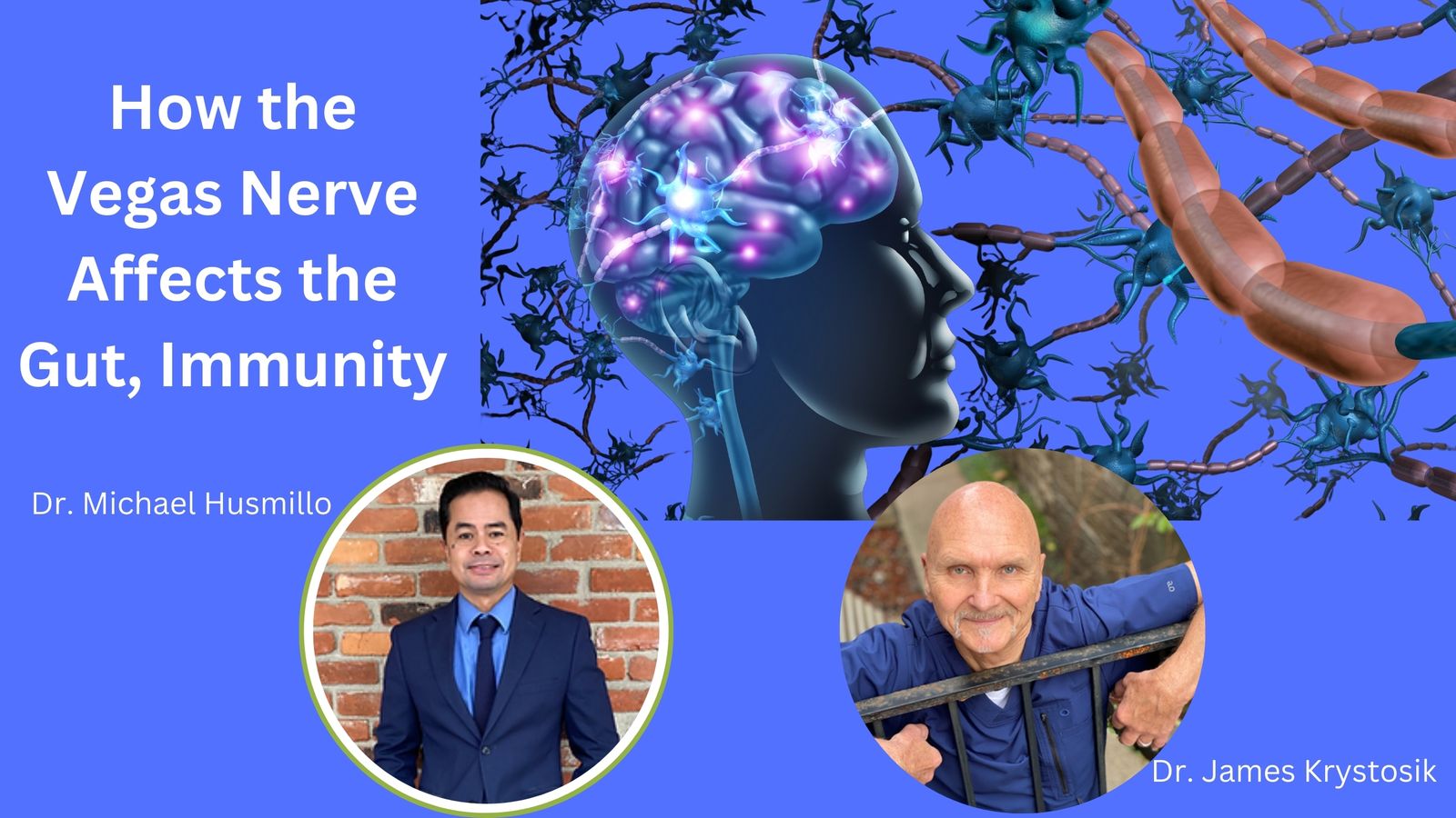 How the Vegas Nerve Affects the Gut_ & Immunity
