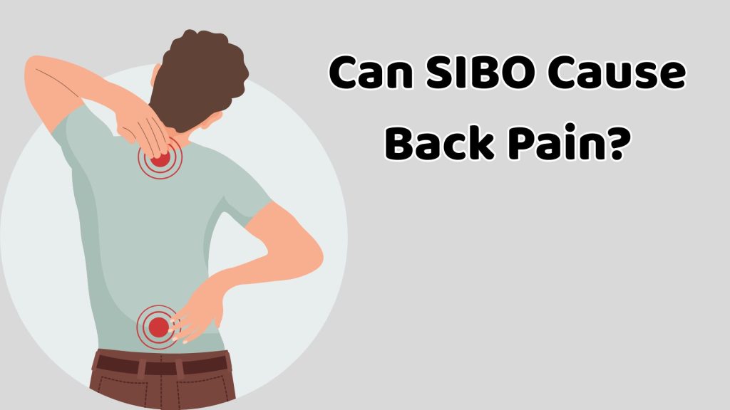 Can SIBO Cause Back Pain