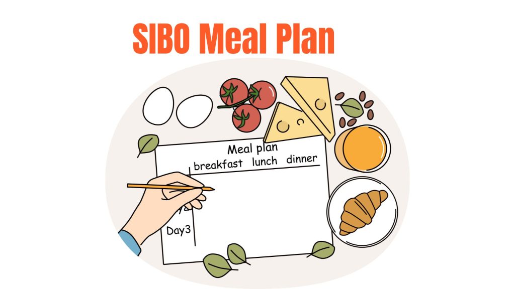 SIBO Meal Plan