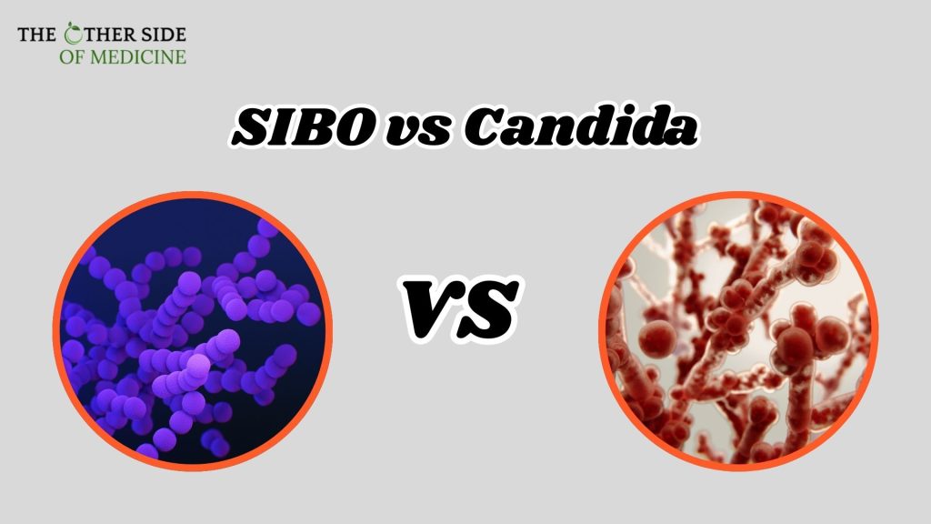 SIBO Vs Candida