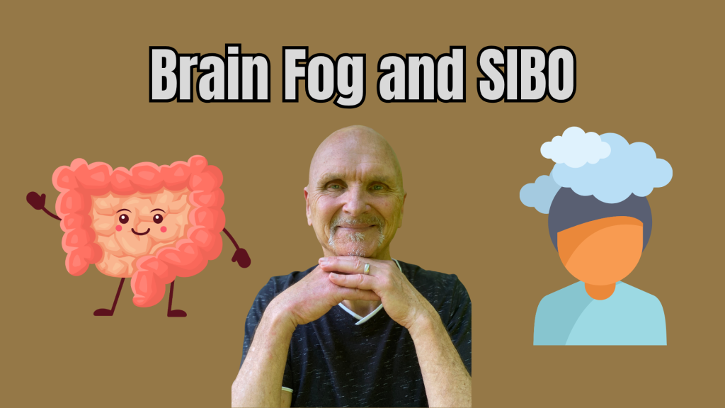 SIBO and Brain Fog