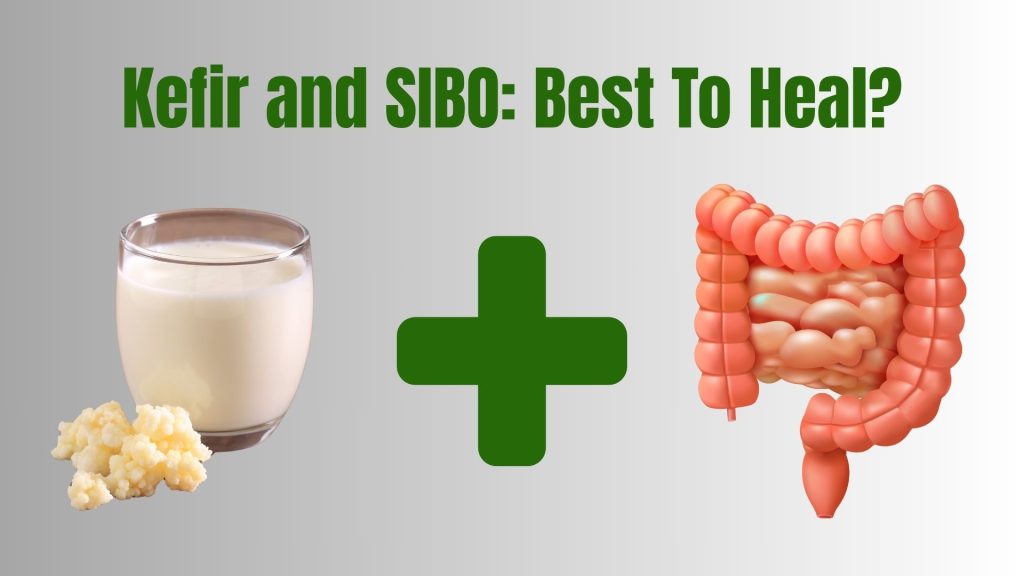 Kefir and SIBO
